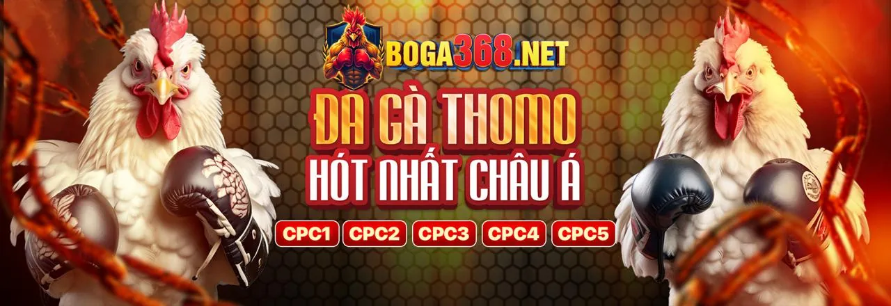 Hình ảnh chính của Blog KV999 Khuyến Mãi 2026